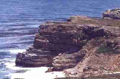 Cape of Good Hope