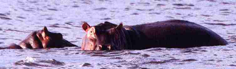 Ne bougez pas vous �tes rep�r�s.