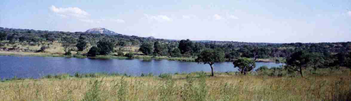 Photo du Parc Kruger. Ici de nombreux animaux viennent s'abreuver.