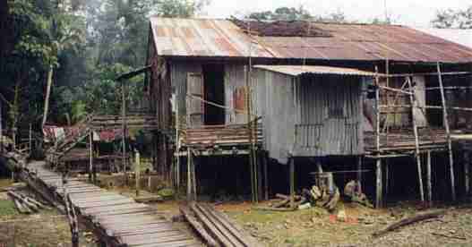 Longhouse dans le Sarawak sur l'le de Borno o vivent les tribus dayak